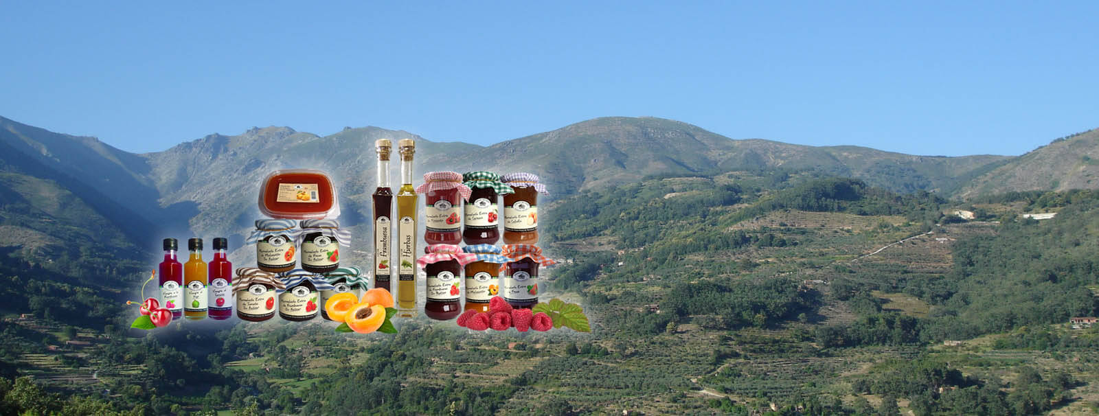 productos naturales casa alonso